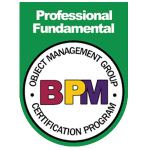 OMG BPM Professional