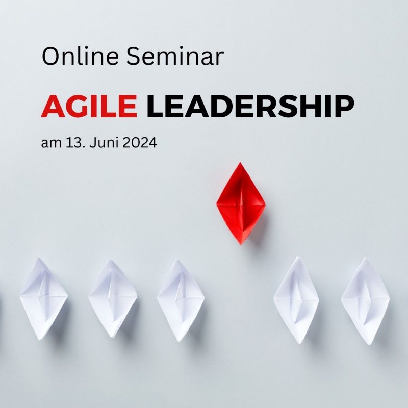 online-seminar-agile-leadership-13.06.2024