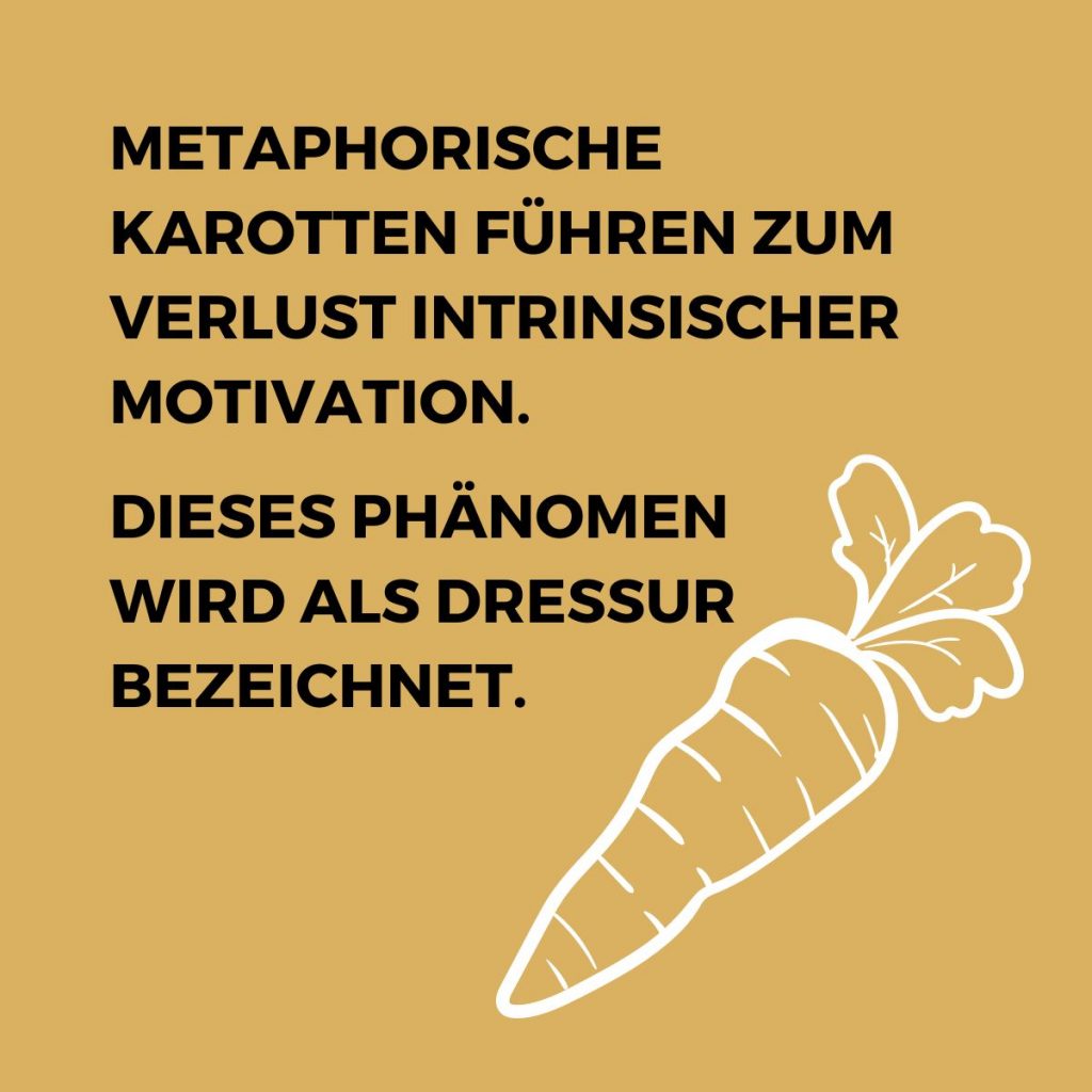 Mitarbeitermotivation