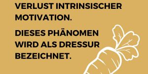 Mitarbeitermotivation